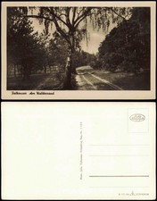 Ansichtskarte Falkensee