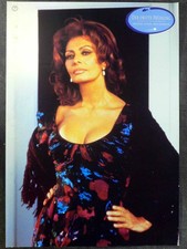 Der dritte Frühling - Aushangfoto A3 29x42cm gerollt /1