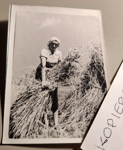 Altes foto vintage - foto,