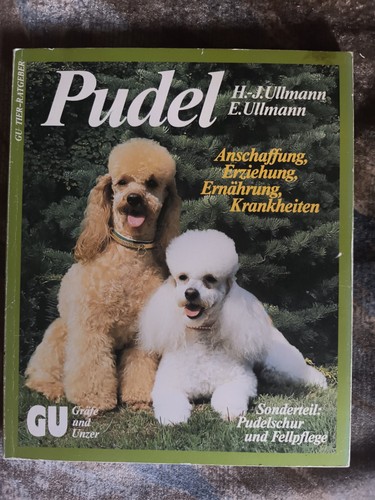 Pudel anschaffung erziehung - pudel,, anschaffung,