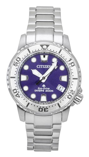 Citizen promaster solar lila - citizen,
