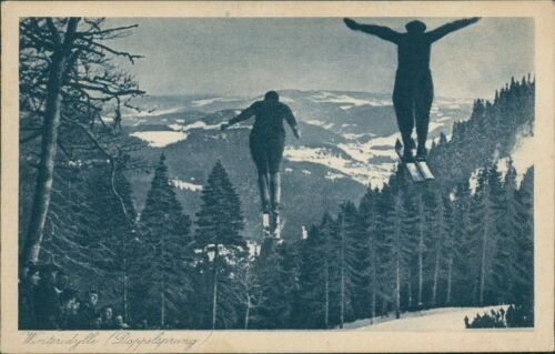 Ansichtskarte wohl schwarzwald - ansichtskarte,