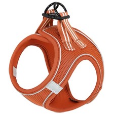 Hundegeschirr Kleinhunde