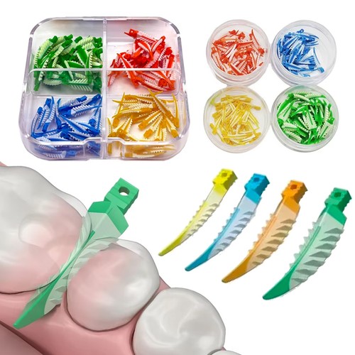 Zahnmedizin ische inter dental - inter,