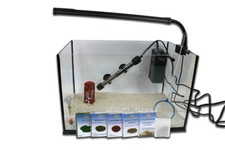 Triops zuchtset deluxe - triops,