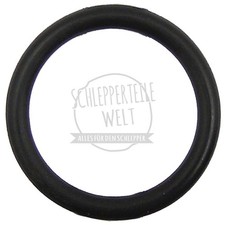 O-Ring Welle Handbremse für