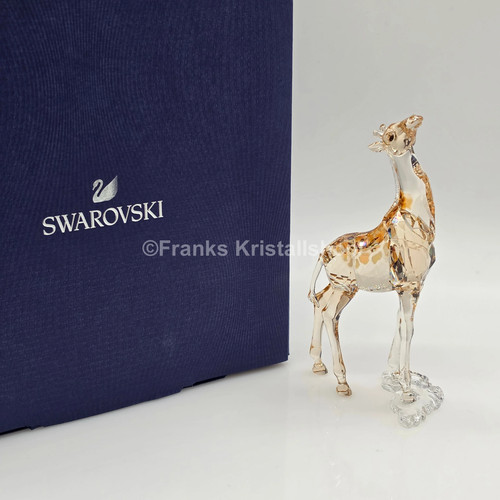 Swarovski scs jahresfigur 2018 - scs,
