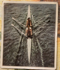 Sammelbild 1934 Deutscher Sport Nr.136 Juno Josetti Zigarettenfabrik ruderer AD