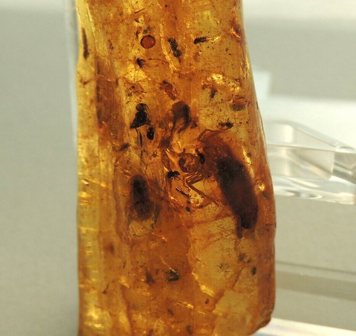 Handflächen großer