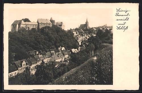 Leisnig gesamtansicht mit - leisnig,,
