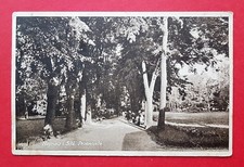 AK HAYNAU in Schlesien 1928