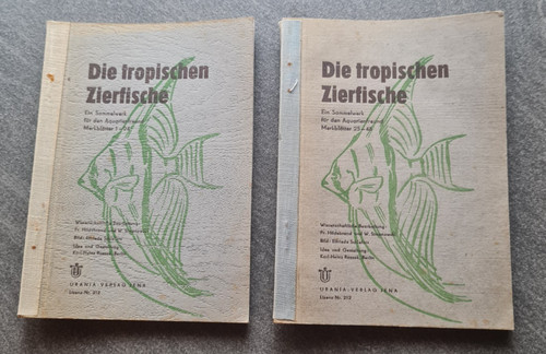 Die tropischen zierfische - zierfische,