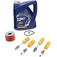 Inspektion Öl 4L für