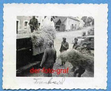 Foto, Frankreich, Heu abladen für die Pferde, um 1940 !