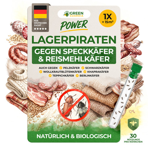 Lagerpiraten gegen