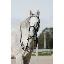 Kandarenzaum Kandarre aus