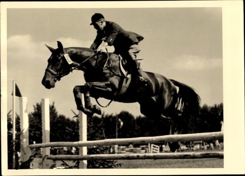 Foto springreiten pferd - foto,