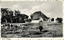 Halbinsel eiderstedt in - halbinsel,