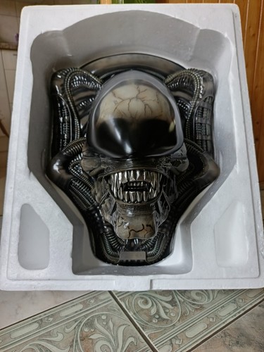 Prime alien big chap head - prime,