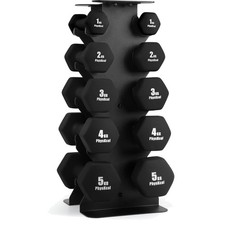 Kurzhantel Set 30kg Gusseisen