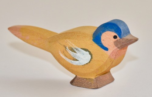 Ostheimer buchfink vogel - ostheimer,