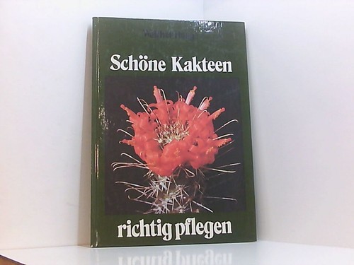 Schöne kakteen richtig - schöne,