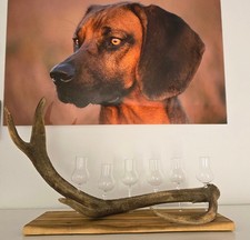 Schnapsglasständer aus Hirsch