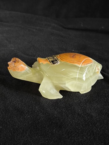 Interessante onyx schildkröte - interessante,