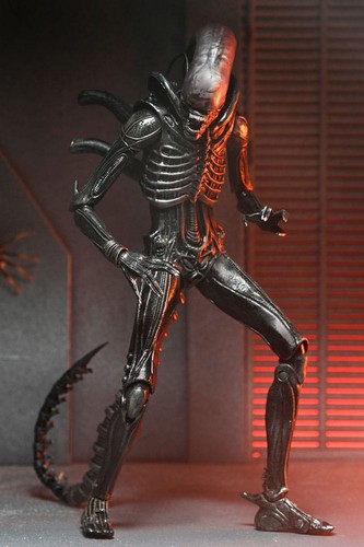 Neca alien romulus - -,