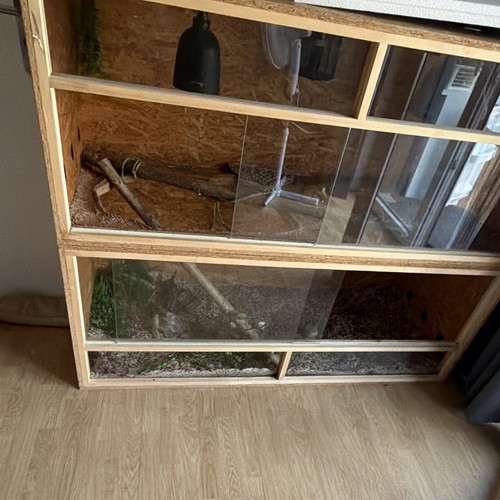 Holz glas terrarium - terrarium, mit