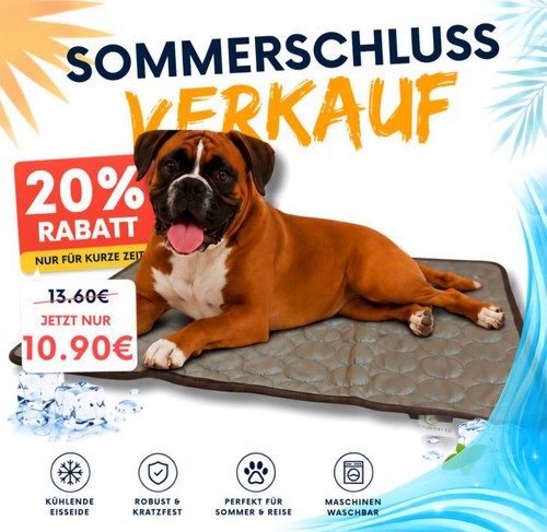 Auch ihr haustier braucht - auch,
