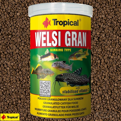 Tropical welsi gran - tropical,