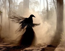 Digital Image Chaos Picture