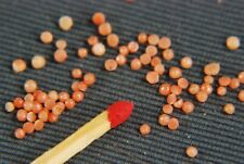 15 Stk antike Mittelmeer Korallen  Cabochons aus Altbestand ca. 1,5 - 2 mm