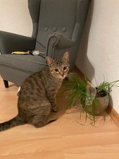 IKEA Kindersessel Strandmon 