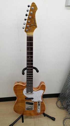 Aria pro telecaster - ii, typ