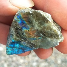 Klein aber Fein Poliert