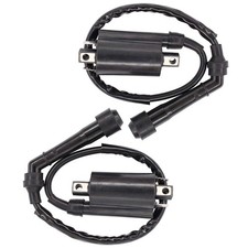 2 Pack Ignition Coil for VS800