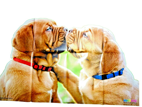 84x59 poster bordeaux doggen - poster, bordeaux-doggen