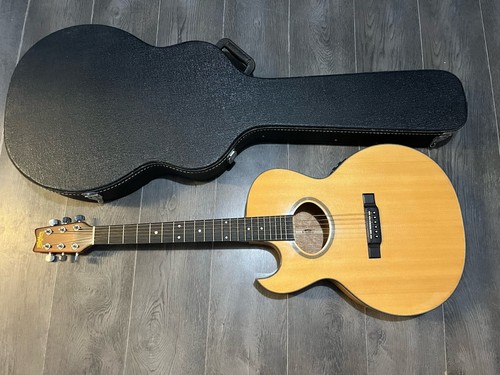 Washburn ea40 gitarre - washburn,