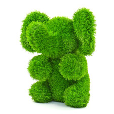 Aniplants elefant sitzend - aniplants,