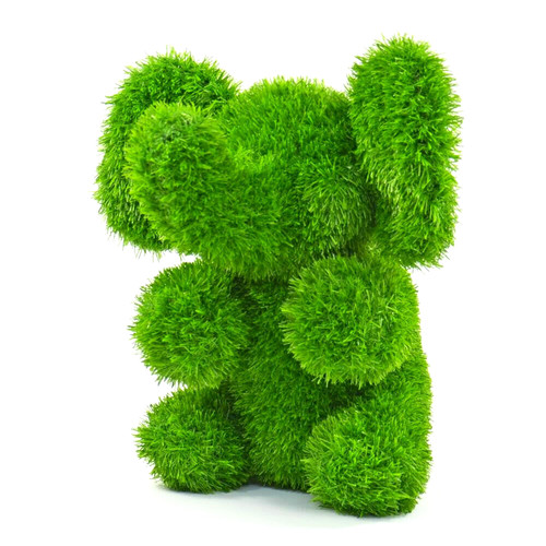 Aniplants elefant sitzend - elefant,