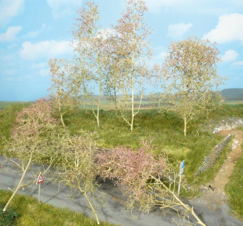 Heki 1638 seemoos - 1638, bäume