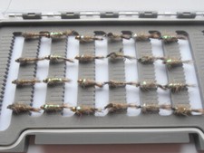 24 Hasen Ohr Nymphe, Forellen