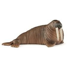 SCHLEICH WALROSS ANIMAL FIGURE