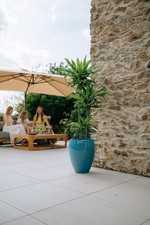 Blumentopf für Orchideen