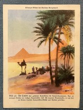 Natur-Bilder + Berliner