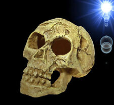 TOP Aquarium Deko kleiner ? Totenkopf ? Totenschädel Terrarium Zubehör Höhle