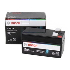 Bosch AGM Backup
