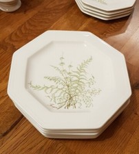 Villeroy & Boch Gallo * Sommerfarn * 6 Kuchenteller Frühstücksteller Fougere